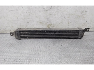 Интеркулер     Opel Meriva A 