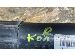 Задний aмортизатор      