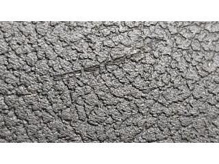 Подушка безопасности для колен 6M21U043K92cg, 6m21u043k93ag Ford Galaxy