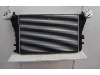 Интеркулер Skoda Octavia Mk2 (1Z)