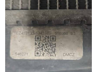 Масляный насос CZ422173 Peugeot 107