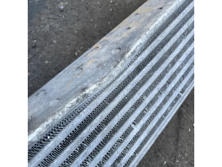 Интеркулер  A2115003902, 3275377   Mercedes-Benz E W211 3.0