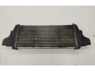 Интеркулер  A2515000000   Mercedes-Benz R W251 