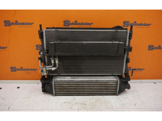 Комплект радиатора    Ford Mustang VI