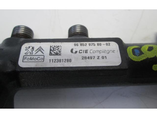 Vstřikovací lišta Citroen C3