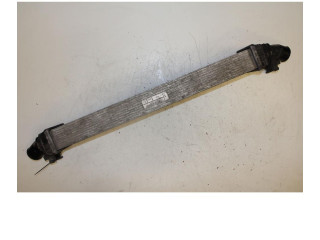 Интеркулер     Fiat Freemont 2.0