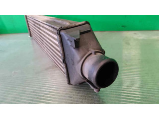Интеркулер  INTERCOOLER   Fiat Bravo 