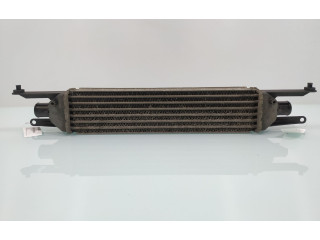 Интеркулер 51785221 Fiat Linea