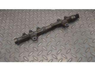 Vstřikovací lišta 494092, 0445214217 Fiat Punto (199) 199 B4.000