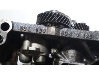 Čerpadlo oleje Seat Exeo (3R)