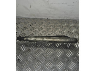 Vstřikovací lišta 16610RBDE01, 1077800210 Honda Civic