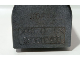 Блок управления 9656112480   Peugeot Expert