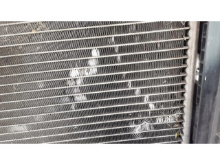 Комплект радиатора