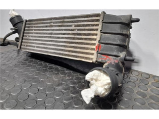 Интеркулер 1489396080 Citroen C8