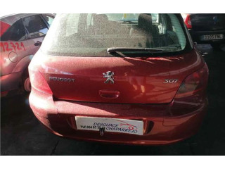 Volant Peugeot 307 2003