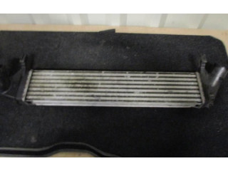 Интеркулер Dacia Sandero