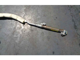 Подушка безопасности двери 1Z5880741F Skoda Octavia Mk2 (1Z)