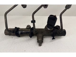 Топливная рампа 059130087D Audi A6 S6 C6 4F для двигателя BLB