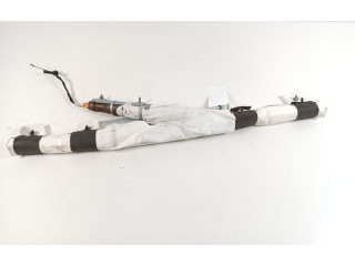 Надувная подушка для крыши 103676000G Tesla Model X