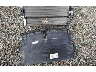 Вентилятор радиатора 155978700ATesla3, 155978700A Tesla Model 3