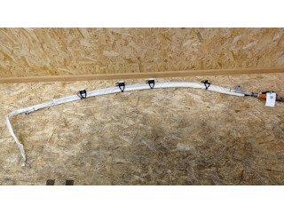 Боковая подушка безопасности 30698624, 606179201B Volvo S40