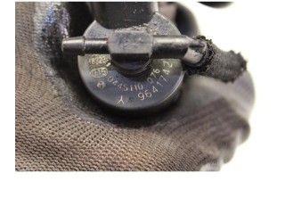 Форсунка 0445110076    Peugeot Expert  RHX 