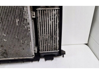 Комплект вентиляторов Citroen Berlingo