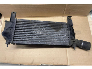 Интеркулер 14461EB360 Nissan Pathfinder R51