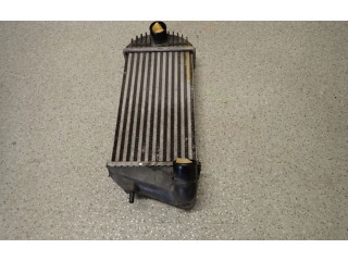 Интеркулер     Suzuki Swift 