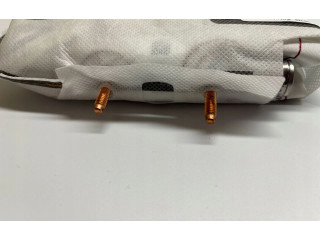 Подушка безопасности водителя Skoda Fabia Mk4 (6VA)