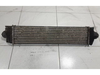 Интеркулер  E1G36K775JA   Ford S-MAX 