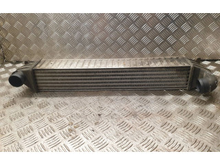 Интеркулер 7M3145805 Seat Alhambra (Mk1)