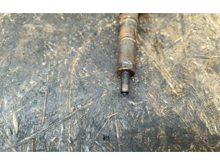 Vstřikovač 0445110076 Peugeot 307