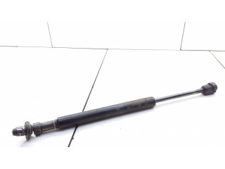 Задний амортизатор      