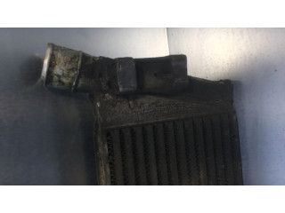 Интеркулер  8200115540   Renault Megane II 1.9