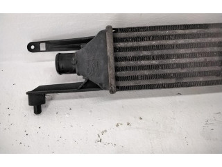 Интеркулер 55700449, 199A3000 Fiat Grande Punto