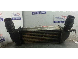 Интеркулер  235009   Ford Transit -  Tourneo Connect 