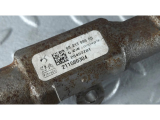 Vstřikovací lišta 9821399680 Toyota ProAce City pro naftový motor 1.5