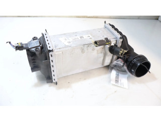 Интеркулер Skoda Scala