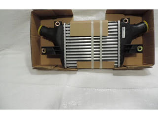 Интеркулер M000T20672 Mitsubishi Grandis