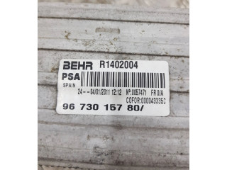 Интеркулер  9673015780, R1402004   Peugeot 5008 