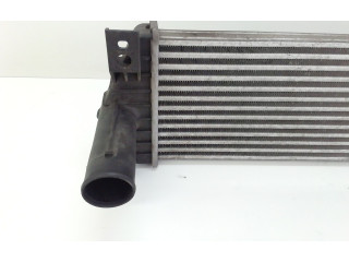 Интеркулер 23711-09050, 23711-09050 SsangYong Kyron