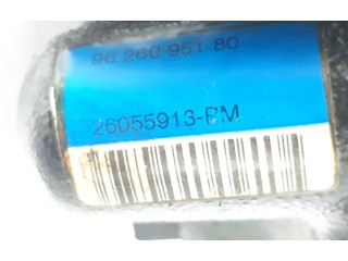 Vstřikovací čerpadlo 9626095180, 4007R0 Peugeot 607 ES9J4S(XFX)