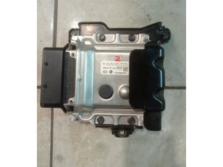 Блок управления 296102FJX0, 0281035416   KIA Sorento