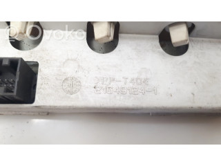 Дисплей 216491241, 21667573 Peugeot 406