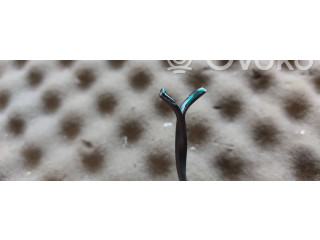 Подрулевой шлейф SRS 56007411, 23199   Jeep Grand Cherokee (WJ)