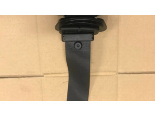 Задний ремень безопасности