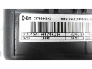 Oro pagalvių komplektas