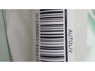 Боковая подушка безопасности 0589P1000241, 0080P1110003   Mercedes-Benz CLA C117 X117 W117