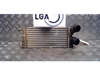 Интеркулер  00000384N9   Citroen Berlingo 1.6